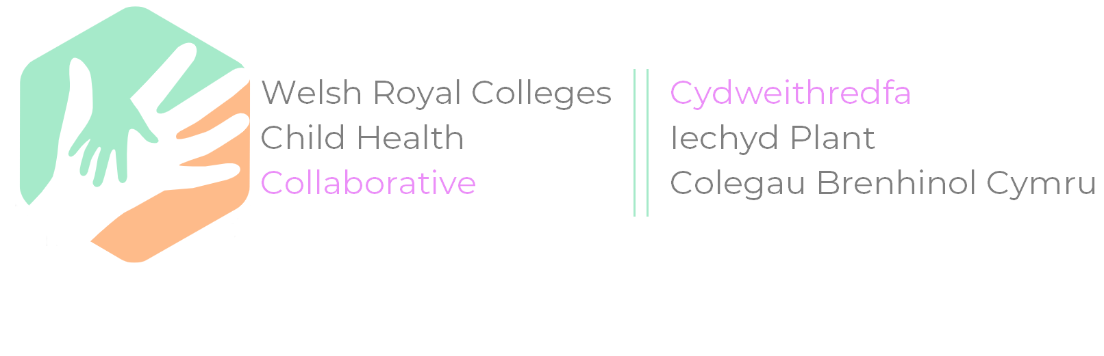 Welsh Royal Colleges Child Health Collaborative logo