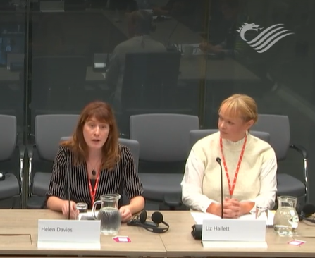 Helen Davies and Liz Hazlett, RPS Wales Board members at Senedd
